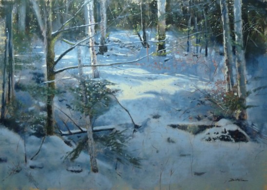 Paysage aux pastels sur Pastelmat, 10 étapes, durée estimée 6 heures