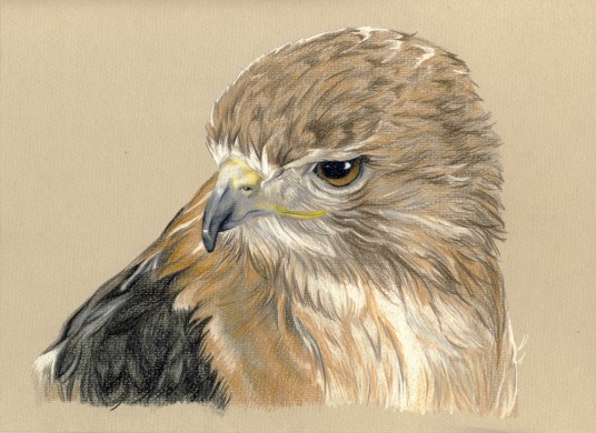 Tête de buse aux crayons de couleur en 10 étapes, durée estimée 5h