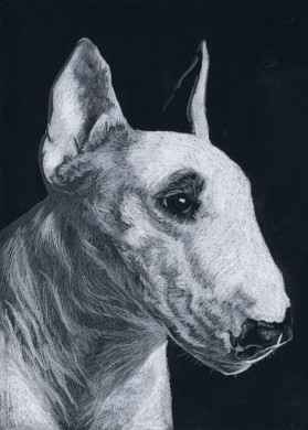Chien au crayons blancs sur feuille noire, 13 étapes, durée estimée 5h