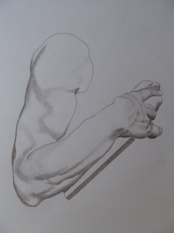 Planche I, 24 Fusain, Ginkgo90