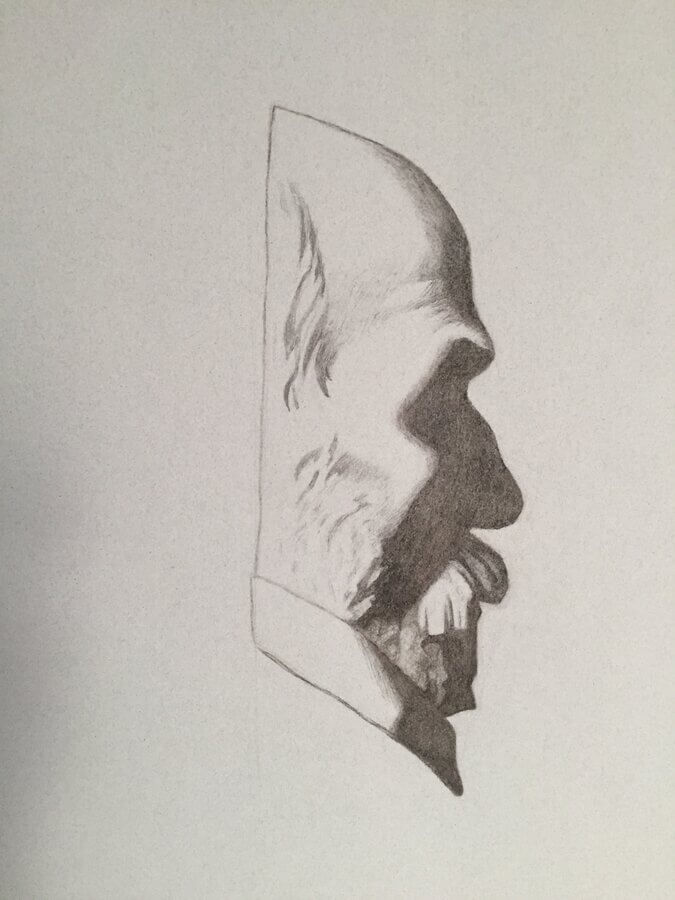 Willow - Pl. I-32 Le Cardinal