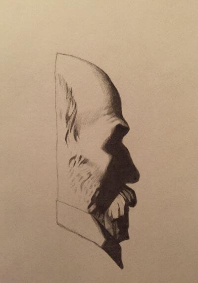 Aroax Planche 32 Le Cardinal