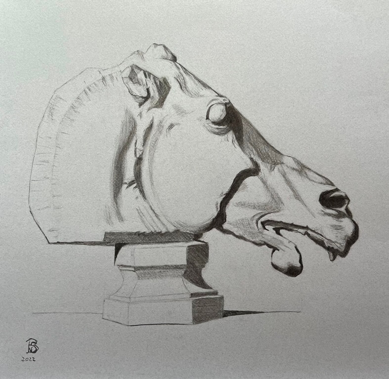 Sosso09 tête de cheval