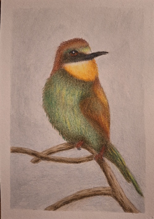 Oiseau