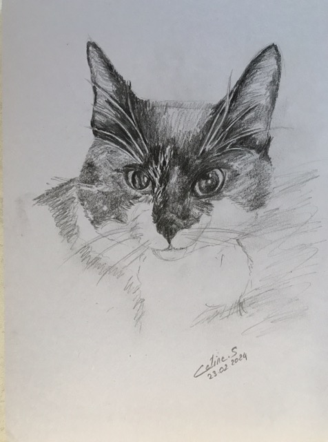 Portrait de mon chat