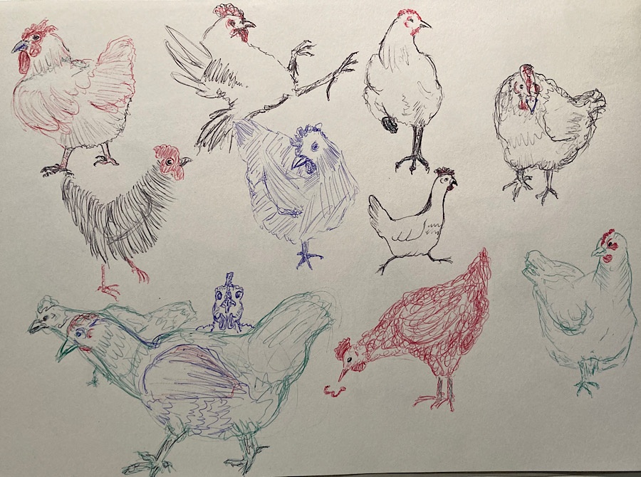 Mon nouveau B.. 4 couleurs