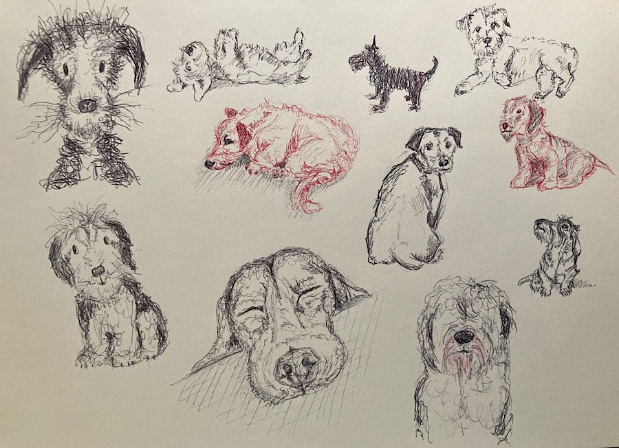 Mon nouveau B.. 4 couleurs