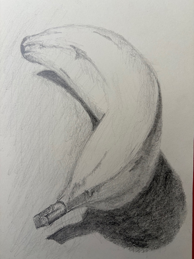 Banane