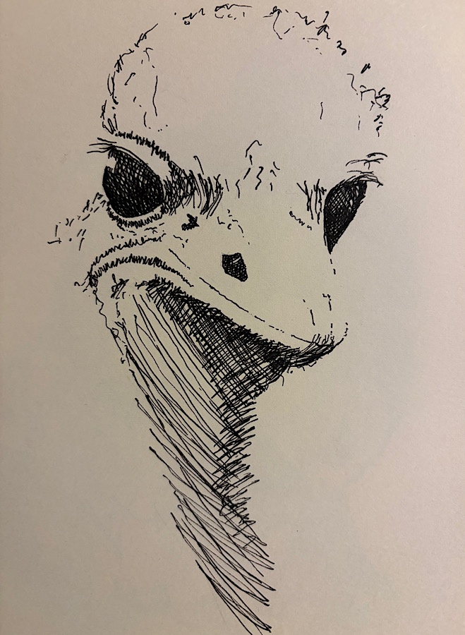 Portrait