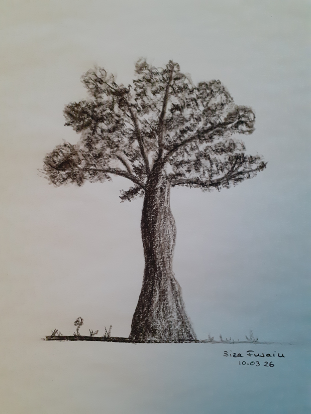 Ziza arbre au fusain, essai 1
